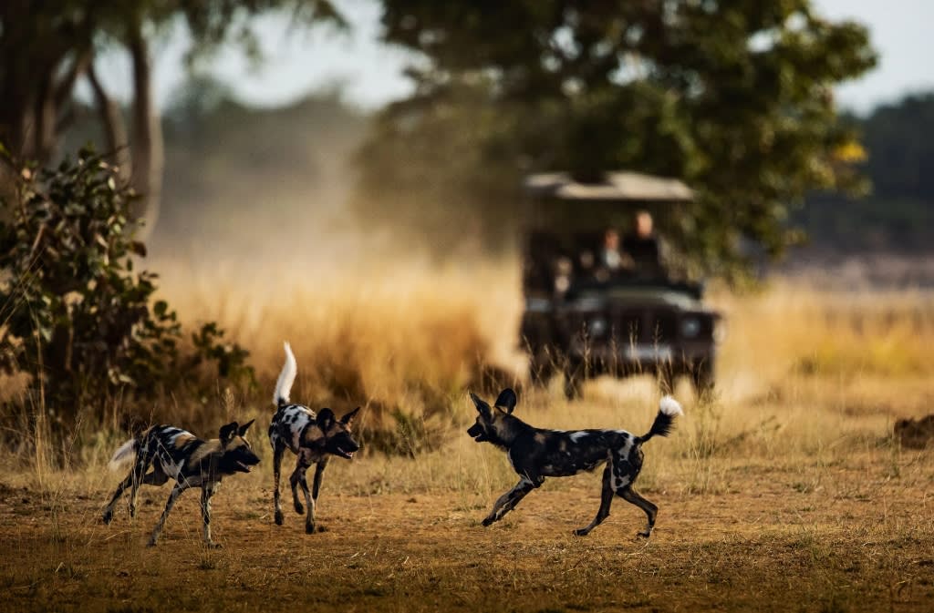 Lukusuzi National Park image