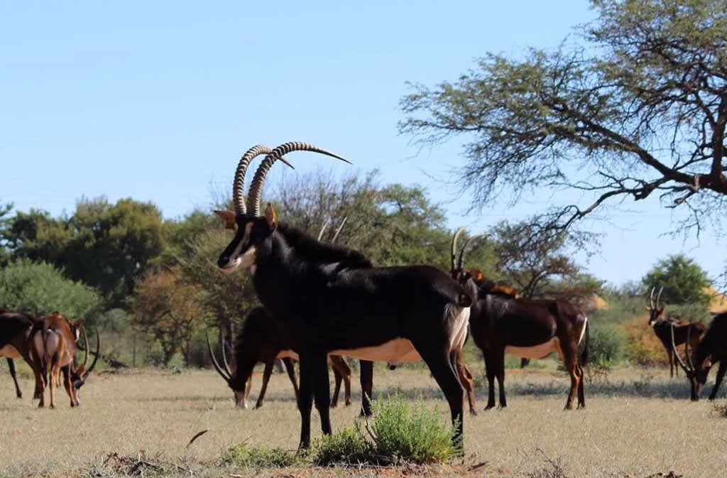 Lusenga Plains National Park image