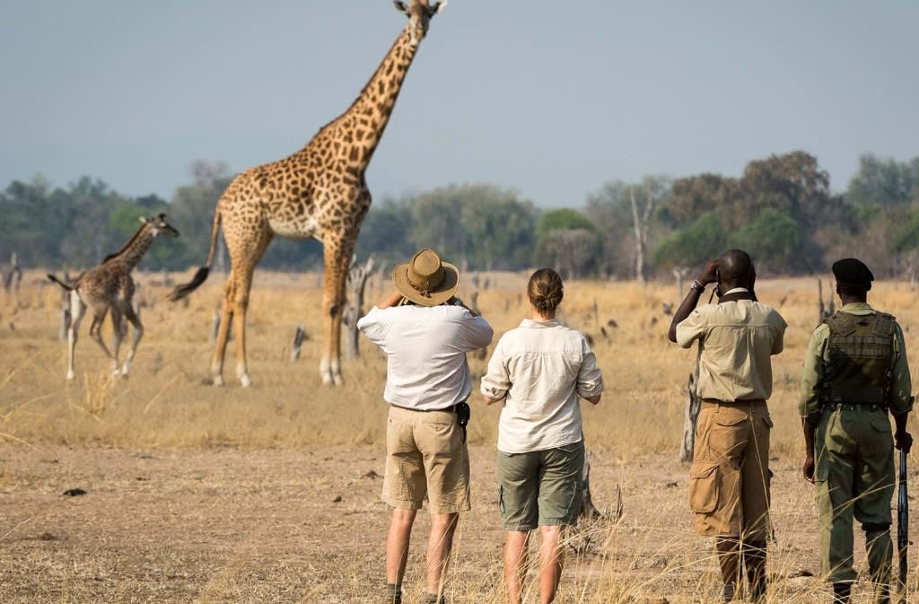 North Luangwa National Park image