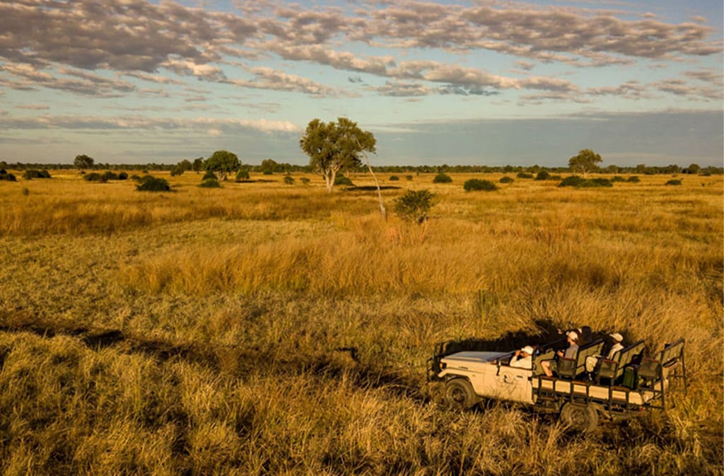 The Zambia Safari Company image