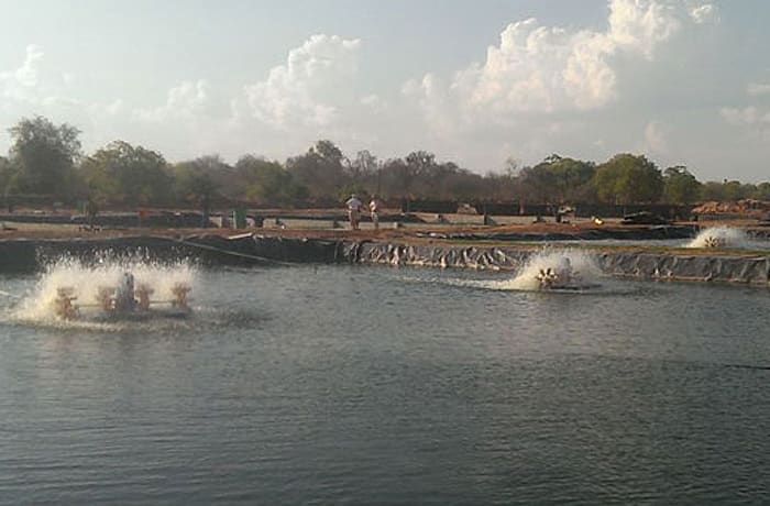 Yalelo Zambia Ltd image