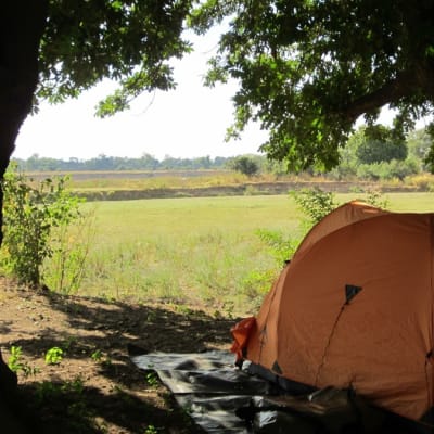 Zikomo Safari Camp image