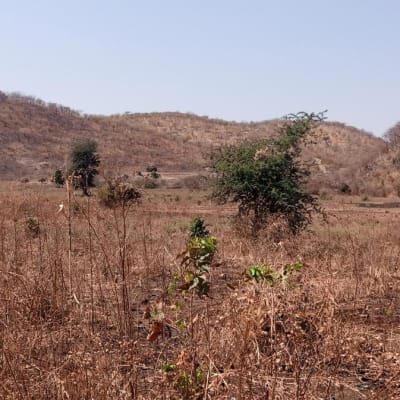 13334 m² vacant land for sale in Chilanga (Zambia) image