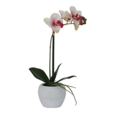 White and Pink Real Touch Orchid  - 51cm    image
