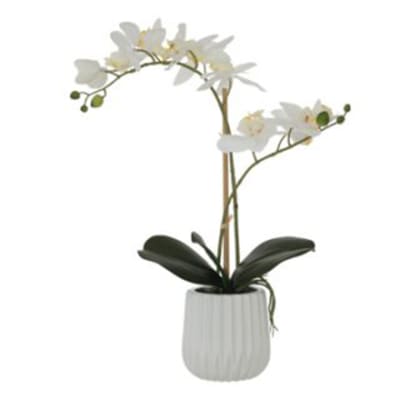 Potted White Real Touch Orchid - 53cm image