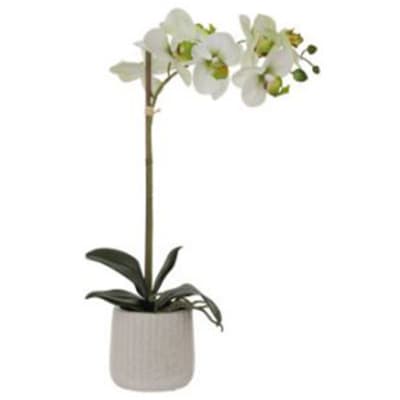 White & Green Real Touch Orchid   - 48cm image