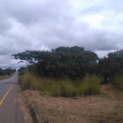 4550 m² commercial vacant land for sale in Sinda (Zambia) image