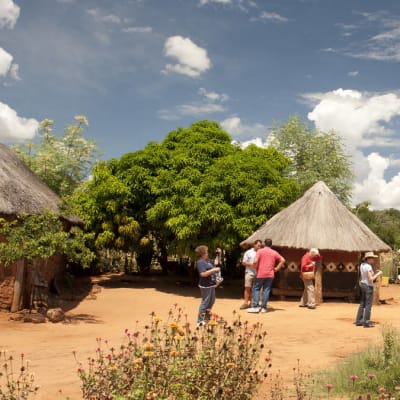 Mukuni Village Tours image