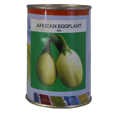 African Eggplant - DB3 image