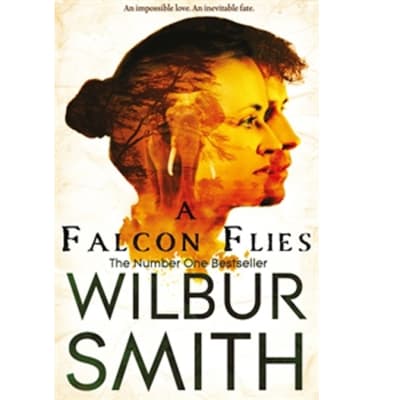 A Falcon Flies image