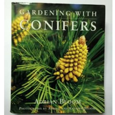 Gardening With Conifers image
