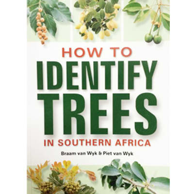 How To Identify Trees In Southern Africa image