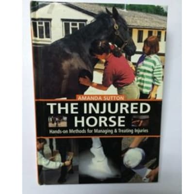 The Injured Horse image