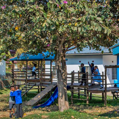 British International Primary School (BIPS) image