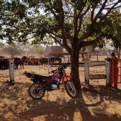 607Ha Farm For Sale in Mazabuka image
