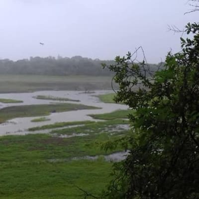26ha Farm for sale in Chongwe image