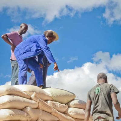 Food Reserve Agency (FRA) image