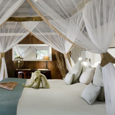 Chiawa Safaris image