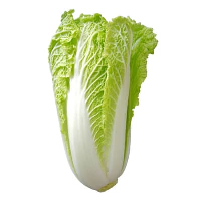 Chinese Cabbage image