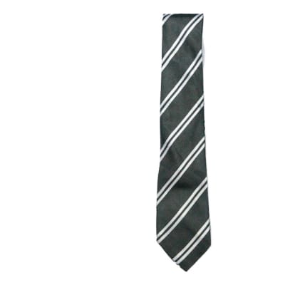 Black with White Stripes Neck Tie image