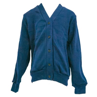 Blue Cardigan image