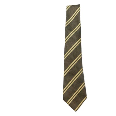 Brown with Light Brown Stripes Neck Tie image