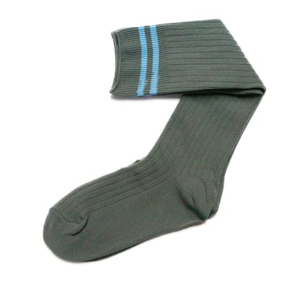 Gray with Light Blue Stripes Stockings image