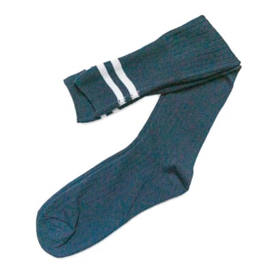 Navy Blue with White Stripes Stockings image