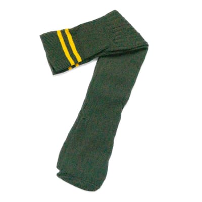 Bush Green with Yellow Stripes Stockings image