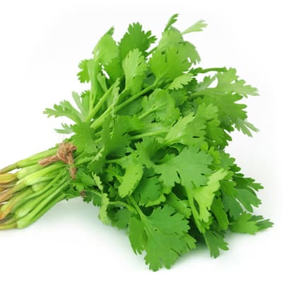 Coriander - Fresh image