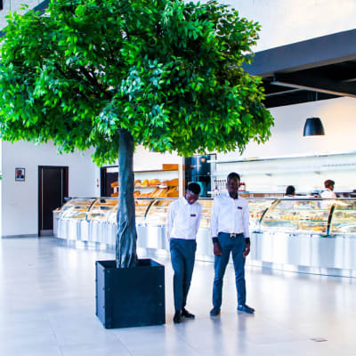 The Corner Cafe image