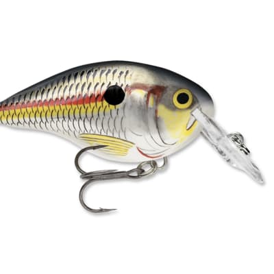 DT® (Dives-To) Series - Shad, Length 2inch, Running Depth 4ft image