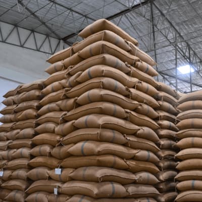 ETG Commodities Zambia image