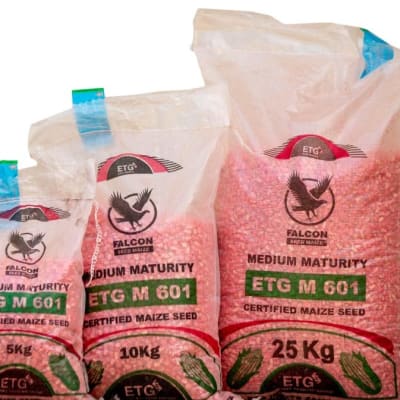 M 601 Medium Maturity Certified Maize Seed - 10kg image