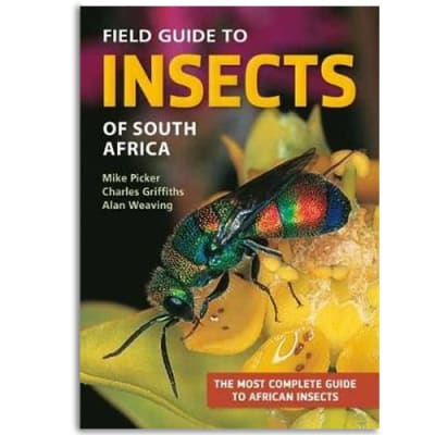Field Guide  to Insects of South Africa image
