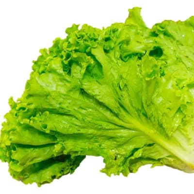 Frilly Lettuce image