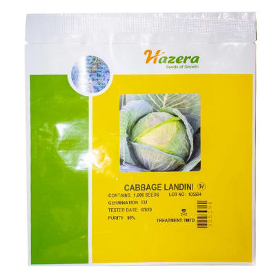 Landini  White Cabbage Seeds  image