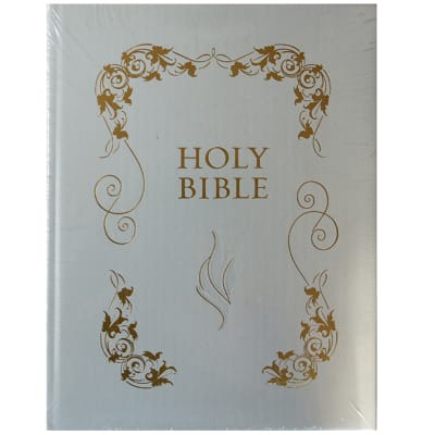 Holy Bible image