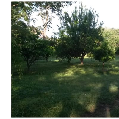 15Ha Farm for sale in Kamfinsa, Copperbelt image