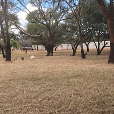 Vacant land for sale in Leopards Hill, Lusaka image