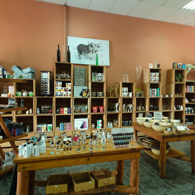 Katies Zambia image