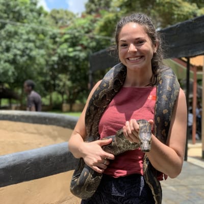 Kalimba Reptile Park image