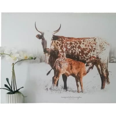 Nguni Cattle Wall Canvas - Large image