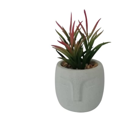 Succulent in Head Pot  - 7x15cm image