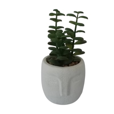 Succulent in Head Pot  - 8x17cm image