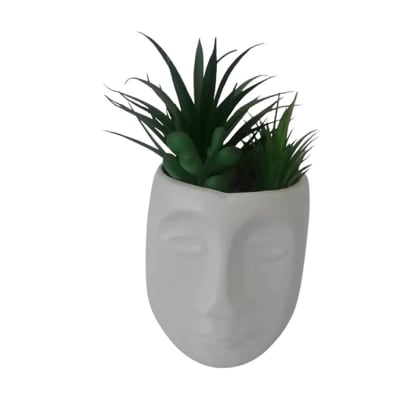 Succulent in Head Pot  - 9x18xm image