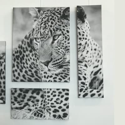 Curated - Collection II image