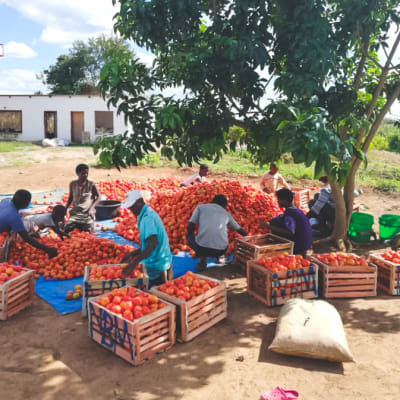 Living Water Global Cooperative image