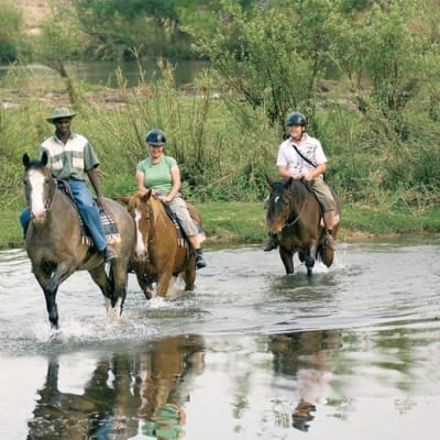 Livingstone's Adventure image