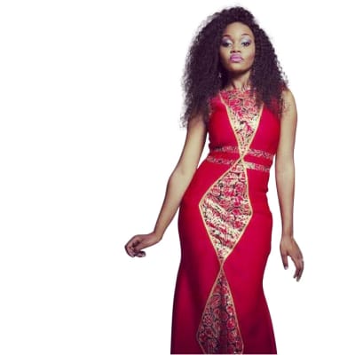 Long dress - Long African print and plain Red dress image